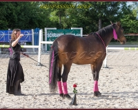 2-13JUIN 0085